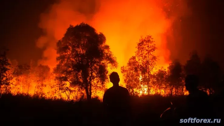 Пожары на торфяниках в юго-восточной азии